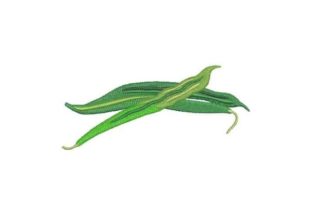 Bush Beans Embroidery Design Review